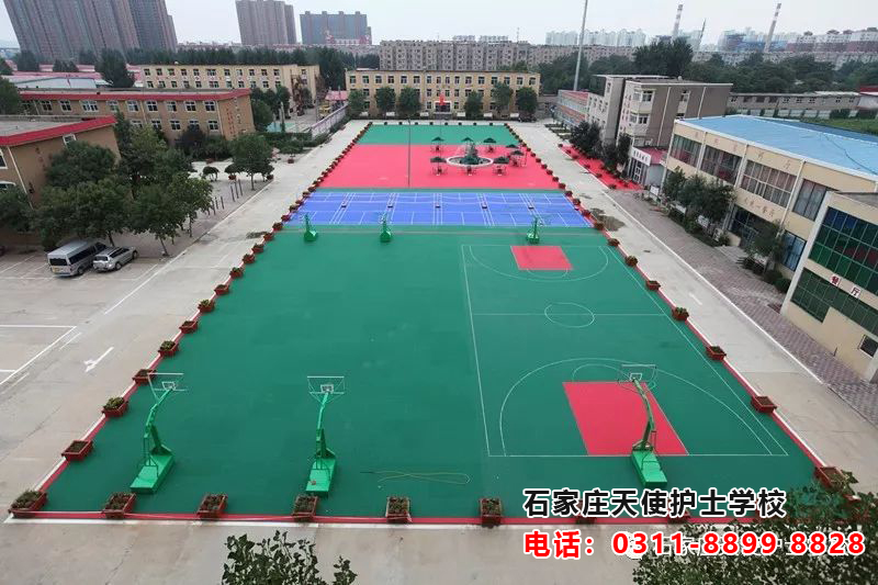 石家莊天使護士學校校園俯視圖