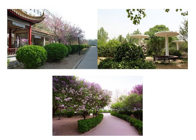 河北商貿學校校園景色