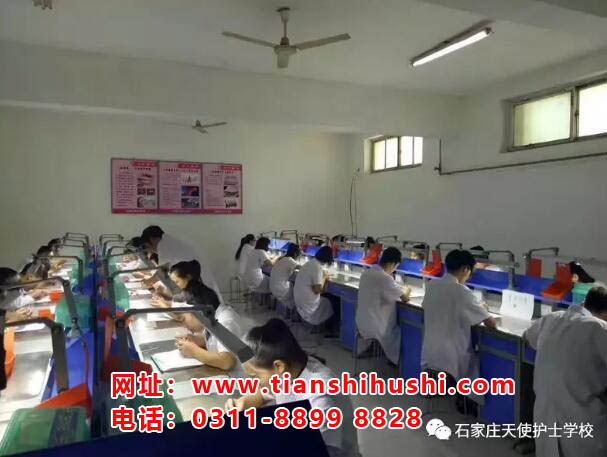 初中畢業(yè)可以來石家莊天使護士學(xué)?？谇会t(yī)學(xué)嗎