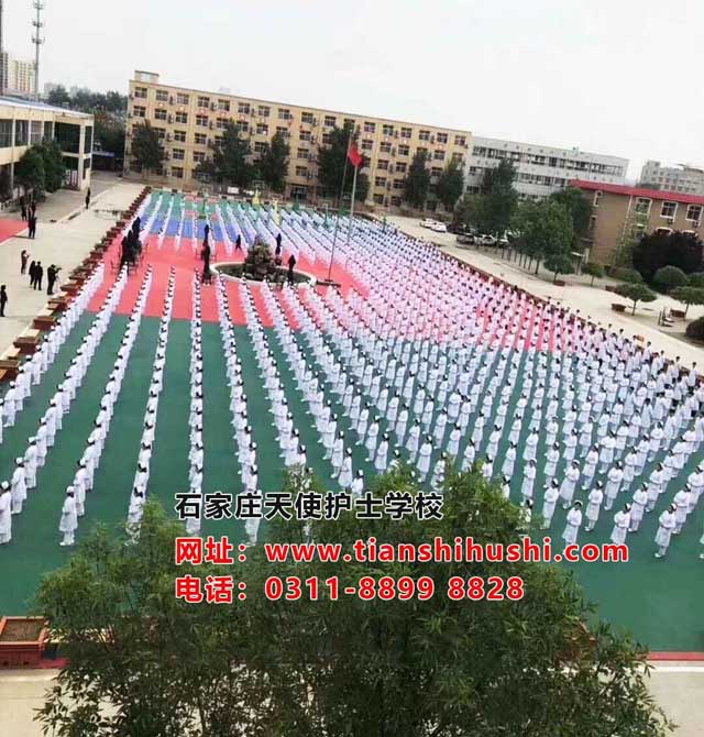 石家莊天使護士學校2020年招生工作已經開展