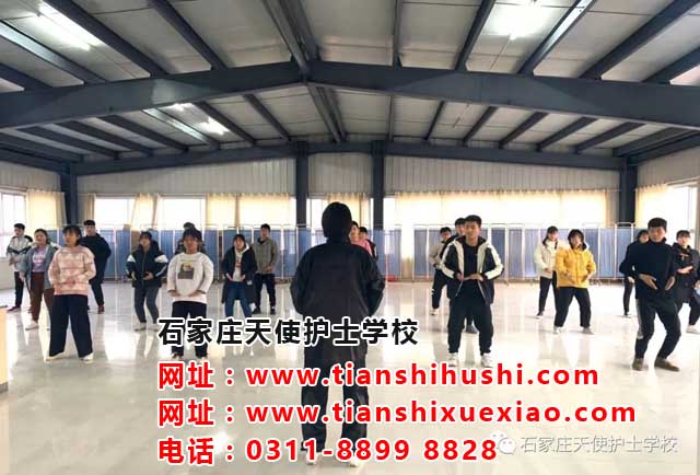 石家莊天使護士學校網站網址