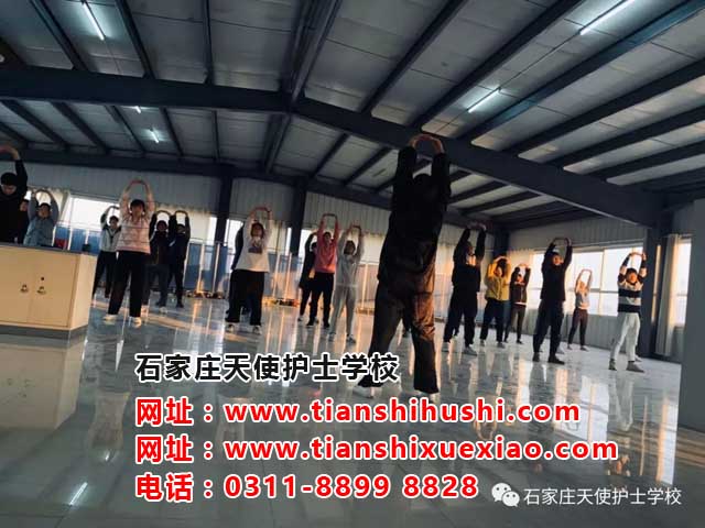 石家莊天使護士學校招生辦聯系電話