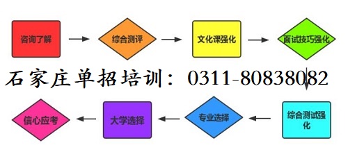 石家莊單招培訓流程