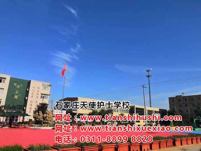 石家莊天使護士學校為各位家長解析中考300多分學醫上高中好還