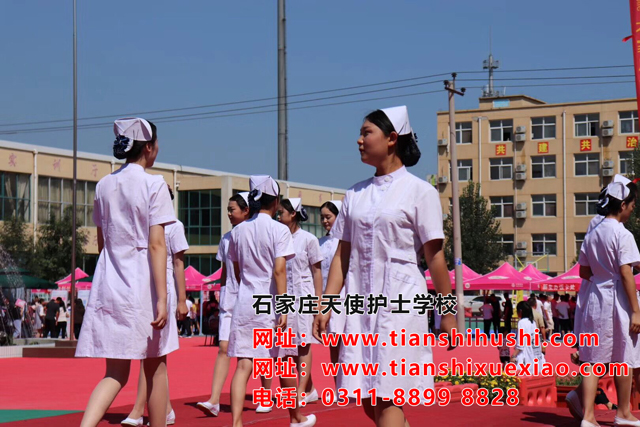 石家莊天使護士學校是高護還是護士