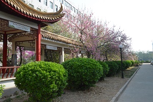 河北商貿(mào)學(xué)校