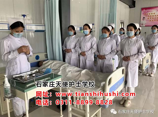石家莊天使護士學校護理專業怎么樣