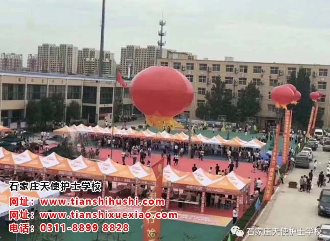 石家莊天使護士學校地址具體位置在哪里