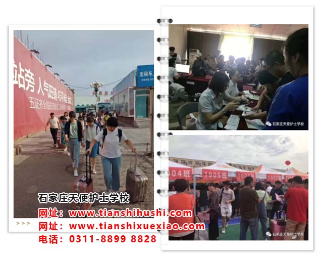 石家莊衛生學校招生要求