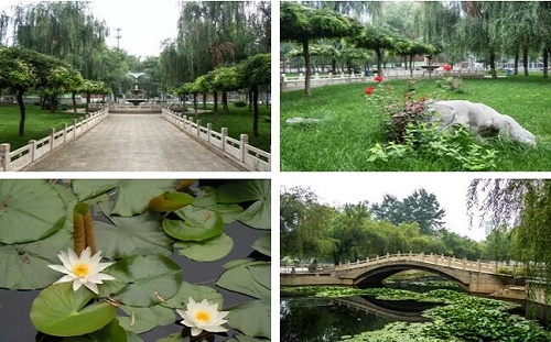 石家莊東華鐵路學校校園