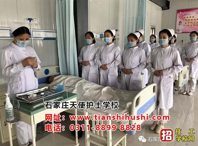 石家莊天使護士學(xué)校護理專業(yè)應(yīng)該注意的基本禮儀