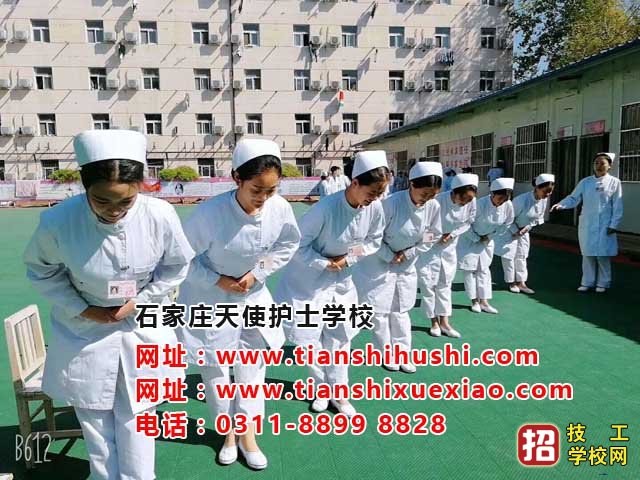 石家莊天使護士學校護理專業都學習什么