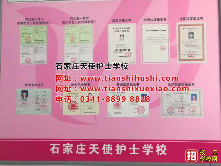 石家莊天使護士學校是國辦嗎