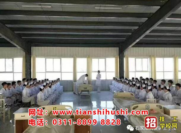 護理專業(yè)哪個學校好