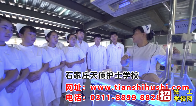 石家莊天使護士學校有臨床醫學專業嗎