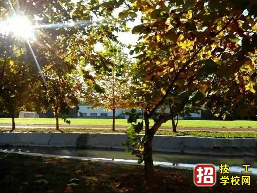 石家莊華師經濟管理學校招生簡章