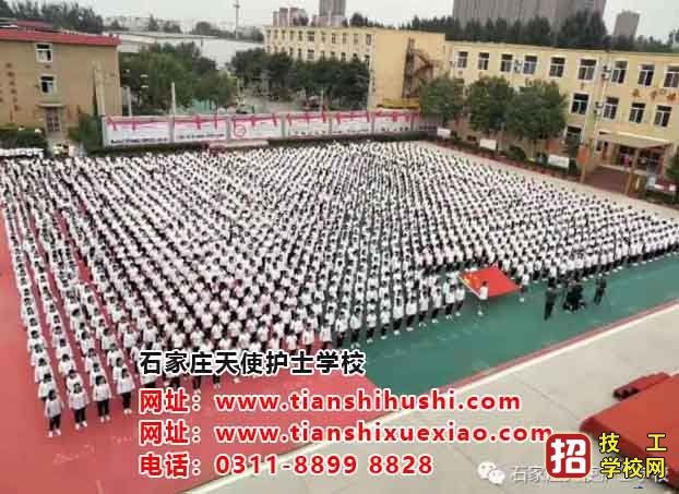 石家莊學護士有什么要求