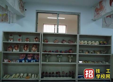 石家莊協(xié)和醫(yī)學(xué)院地址在哪里