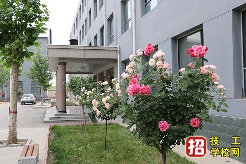 石家莊中英航空學校2020年報名條件、招生對象