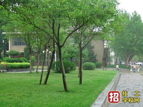 石家莊現代經貿中等專業學校招生辦聯系電話