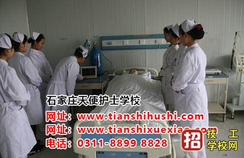 石家莊天使護士學校實習做哪些工作