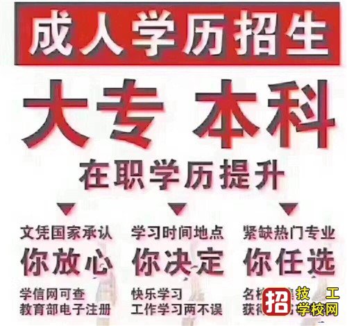 河北成人高考專業哪些熱門好考？