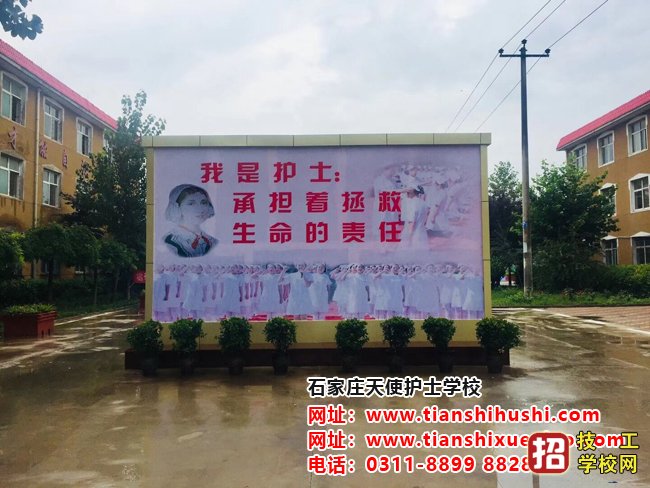石家莊天使護士學校地址