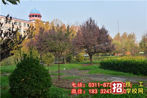 石家莊冀聯(lián)醫(yī)學(xué)中等專業(yè)學(xué)校分?jǐn)?shù)線