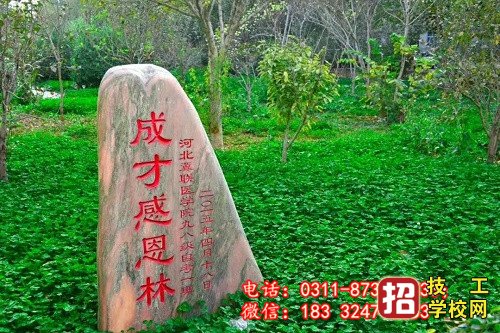 石家莊冀聯(lián)醫(yī)學(xué)院招生處電話