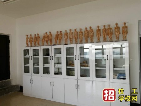 石家莊冀聯(lián)醫(yī)學(xué)院中醫(yī)康復(fù)保健專業(yè)