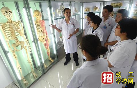 報(bào)名石家莊同仁醫(yī)學(xué)院需要交多少錢？