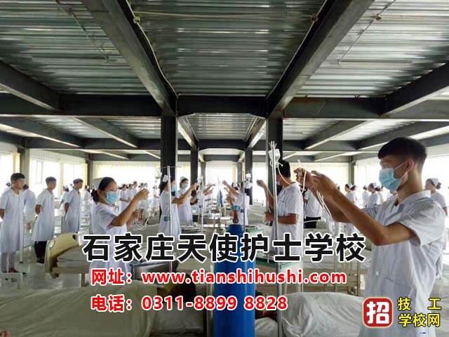 石家莊天使護(hù)士學(xué)校2021年招生錄取分?jǐn)?shù)線