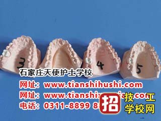 石家莊天使護士學校畢業生學口腔醫學有哪些院校