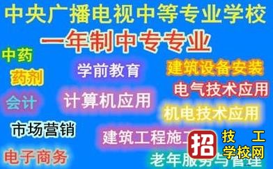 中央電大中專是什么意思？