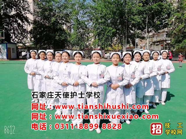 石家莊天使護士學校具體的乘車路線