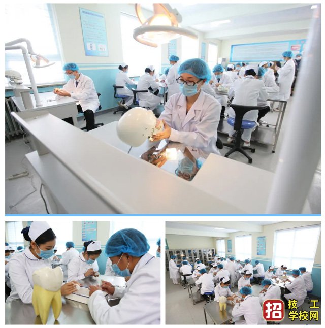 2022年石家莊北方醫(yī)學(xué)計劃招生專業(yè)和人數(shù)