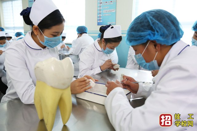 2021年石家莊北方醫學招生計劃