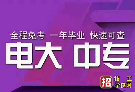 一年制的電大中專學費多少錢?