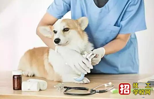 三個就業前景好的冷門醫學專業，你知道幾個？