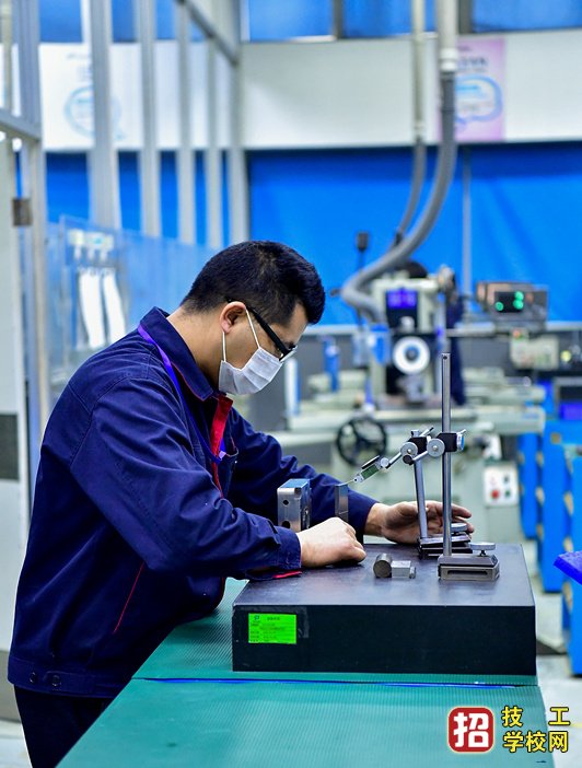 雙減政策,5:5普職分流,是不是為職業教育布局