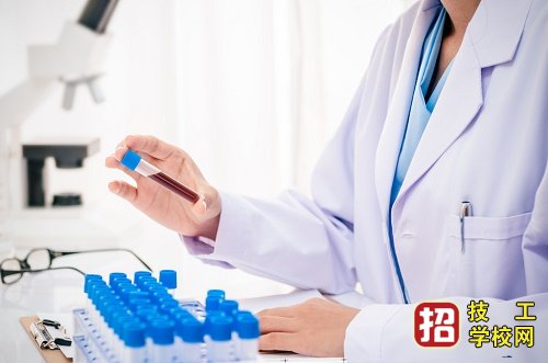 上中專如何選擇專業(yè)