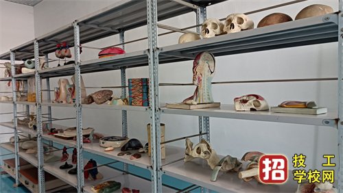 河北同仁醫(yī)學(xué)院2022年有3+2專業(yè)嗎?