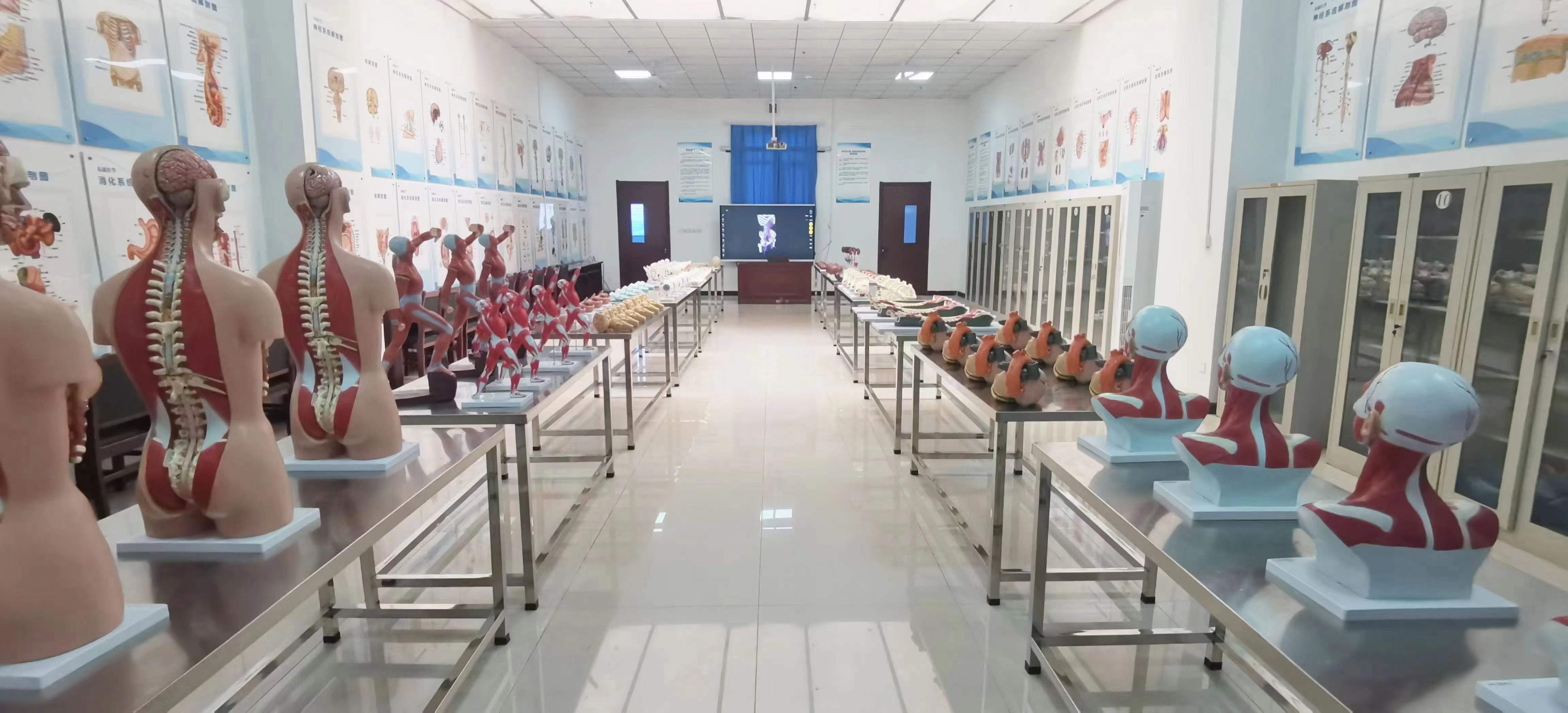 石家莊柯棣華醫學院護理專業招生