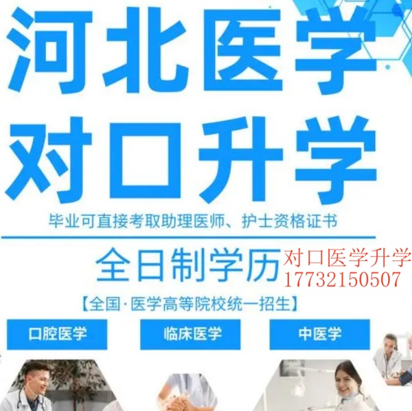 2024年河北單招考試七類院校投檔最低分