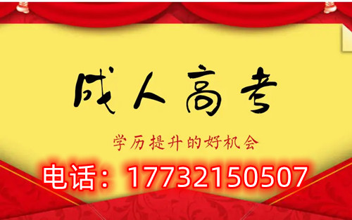 干貨!備考必讀,成考不踩雷!