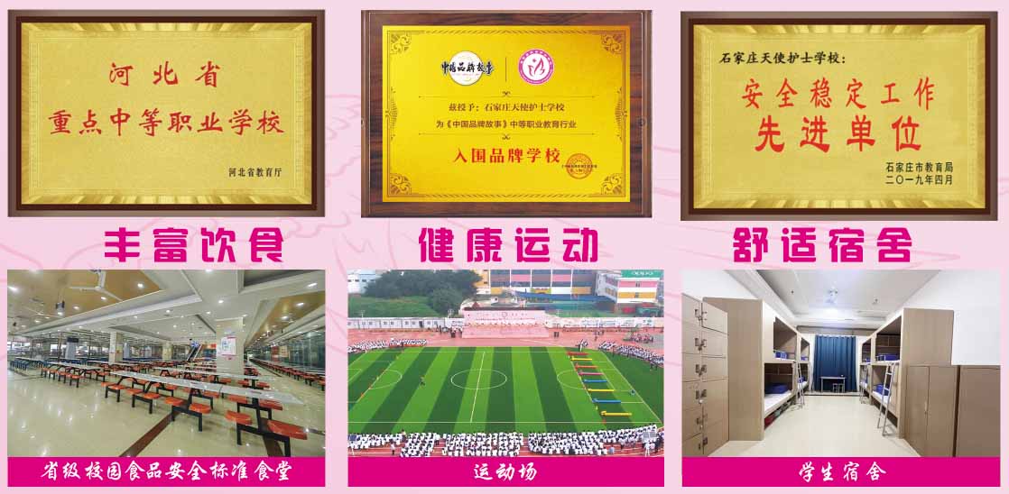 石家莊天使護(hù)士學(xué)校2026年秋季招生有什么要求？要分嗎？